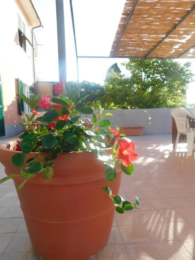 Quinto Canto Moneglia